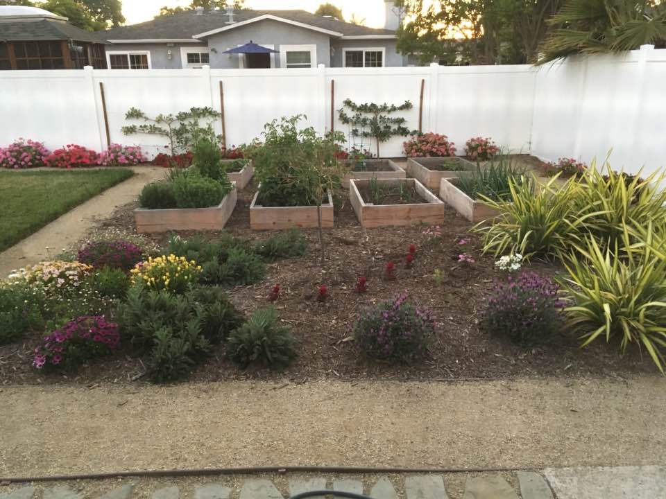 raised beds for vegetables