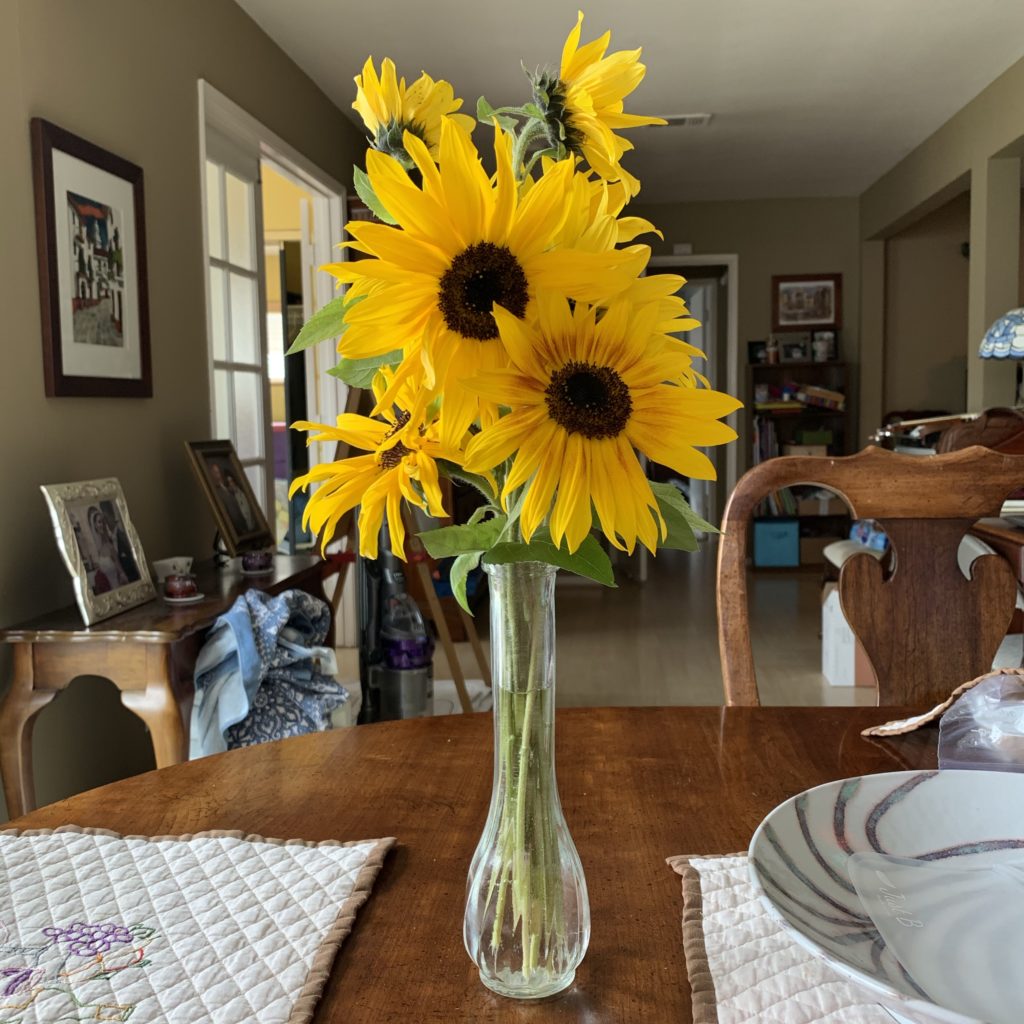 Sunflowers in a vase