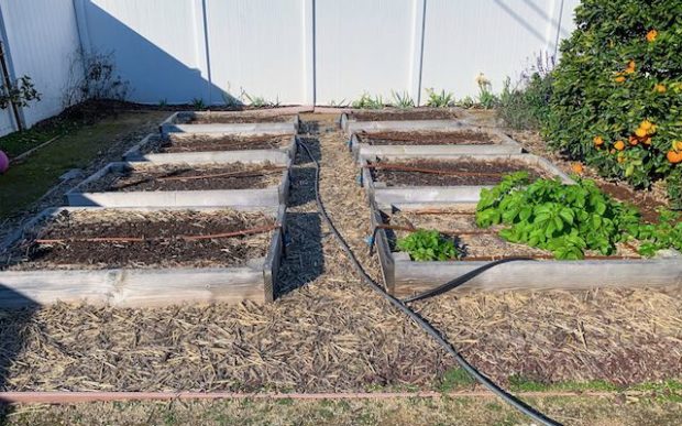 raised gardening beds